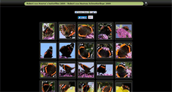 Desktop Screenshot of butterflies.robertvonheeren.de